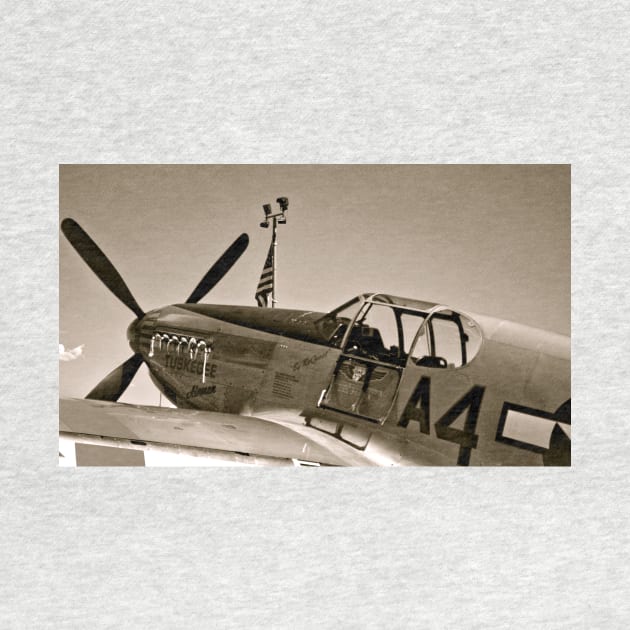 Tuskegee P-51 Mustange Vintage Fighter Plane by Scubagirlamy